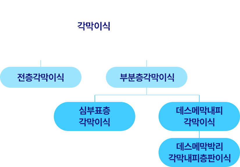 각막이식의 종류로 전층각막이식과 부분층각막이식이 있으며, 부분층각막이식에는 심부표층각막이식과 데스메막내피각막이식, 데스메막박리 각막내피층판이식이 있습니다.