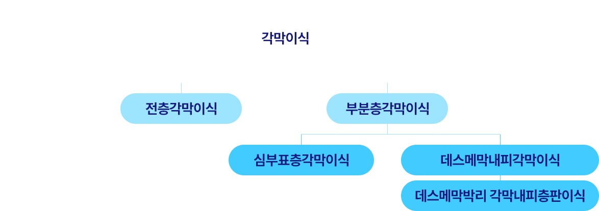 각막이식의 종류로 전층각막이식과 부분층각막이식이 있으며, 부분층각막이식에는 심부표층각막이식과 데스메막내피각막이식, 데스메막박리 각막내피층판이식이 있습니다.